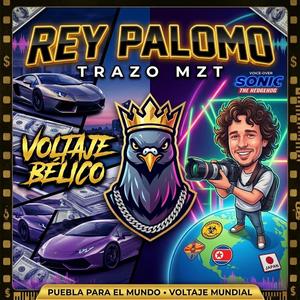 Rey Palomo