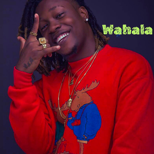 Wahala
