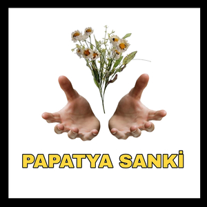 Papatya Sanki