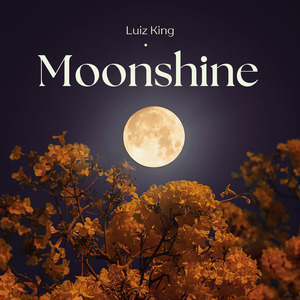 Moonshine