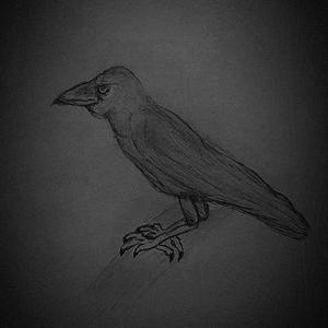 The Lannisters Send Their Regards