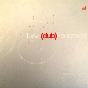 This Is Dub Excursion