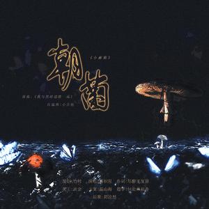 朝菌——记一十四洲《小蘑菇》