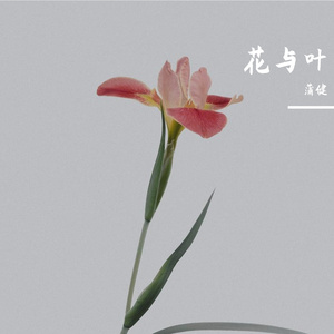 II 花与叶的舞蹈