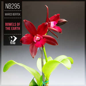 Bowels of the Earth (Original Mix)