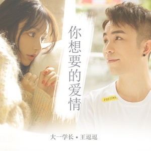 你想要的爱情 (伴奏)