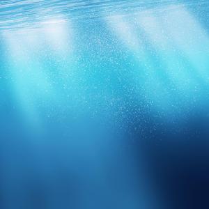 关于海，关于你