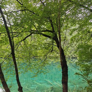 说多怕烦说少怕你不懂