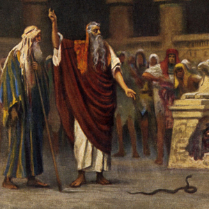 Hokkabazlık Sanatı