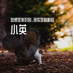 最熟悉的陌生人