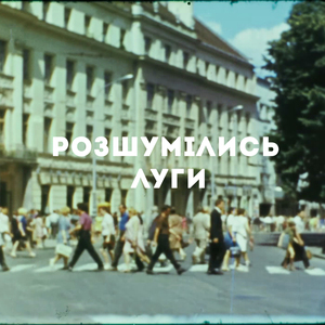 Розшумілись луги