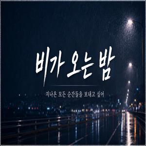 비가 오는 밤