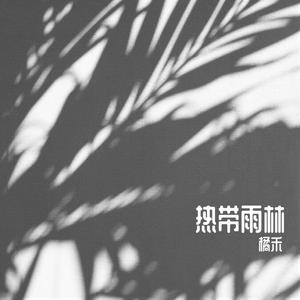 热带雨林