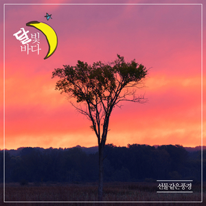 선물 같은 풍경