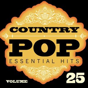 Don't Come the Cowboy with Me Sonny Jim