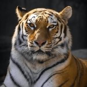 后青年启示录