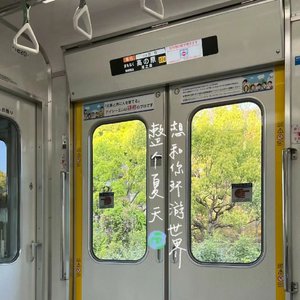 赴盛夏