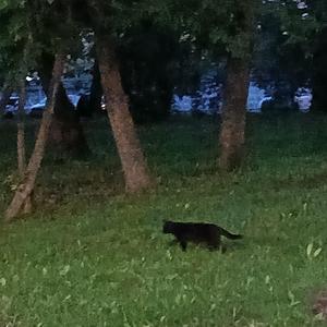 sir this is a cut throat fashion (8D)