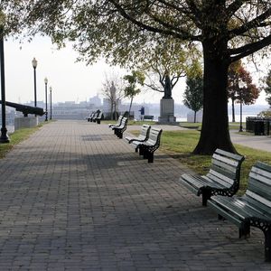 漂洋过海来看你