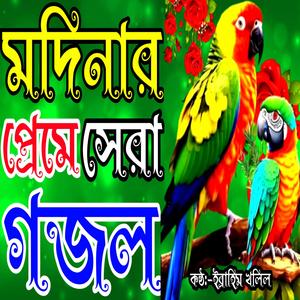 ত্রিভুবনের প্রিয় মোহাম্মদ এলোরে দুনিয়ায় |নবীজীর গজল | বাংলা গজল | New gojol | গজল | Gojol | Gozhal