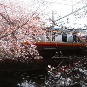 练习曲NO.1 白键启航（优化版）