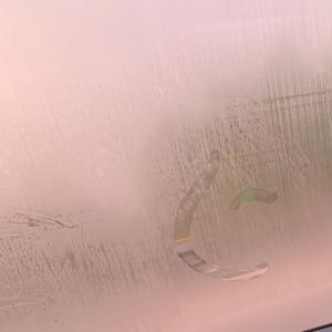 果汁分你一半（小薛伴奏版）