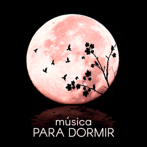 Espiritualidad (Música de Piano)