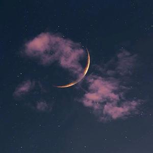 想见你想见你想见你