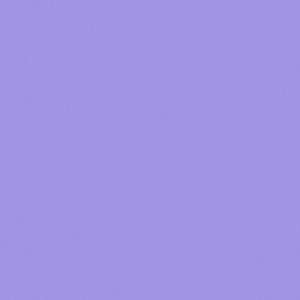 BIRDS OF A FEATHER (Lofi Version)