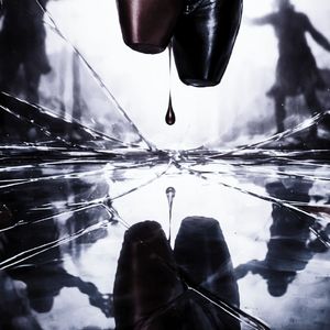 最后一支舞请踩碎我的距骨