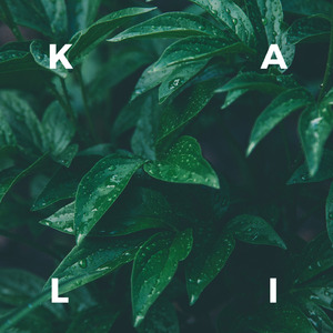 Non-Stop Green Noises