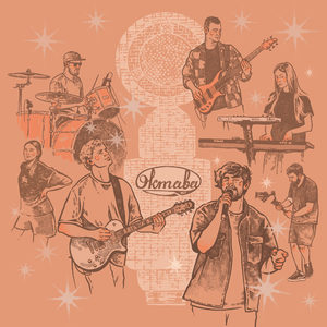 Ночными огнями (Октава Live)