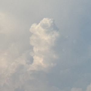 ブルー