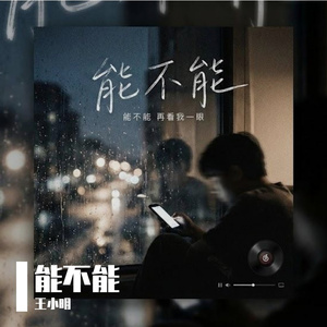 后来雨停了
