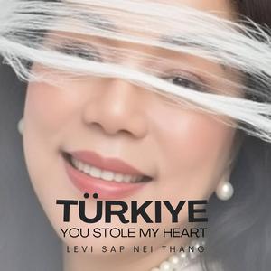 Turkiye You Stole My Heart