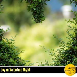 Kept Joy Within (Solo Piano D Minor)