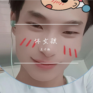 王子韩 - 坏女孩