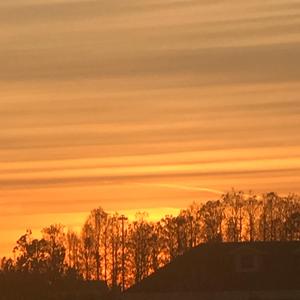 shitty florida weather