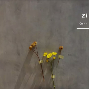 刻在我心底的名字