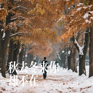 秋去冬来你却不在