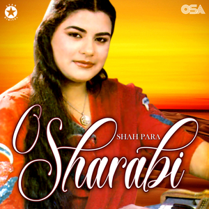 Hai Iss Mein Kaun Si Khoobi