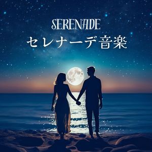 セレナーデ音楽
