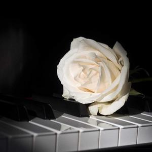 人生的旋转木马 神仙钢琴版《哈尔的移动城堡》插曲