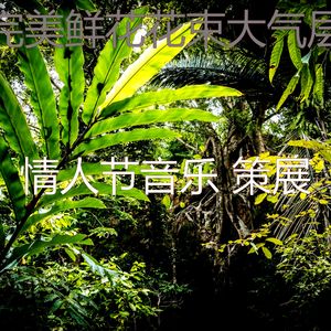 精彩约会之夜环境