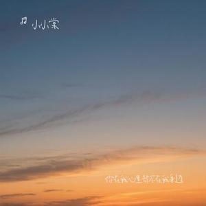 你在我心里却不在我身边 (释怀)