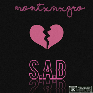 S. A. D