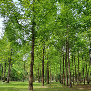 걸음이 느려지는 섬