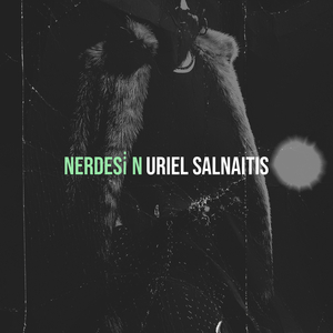 Nerdesi̇n