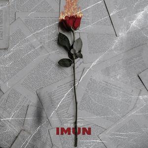 Imun