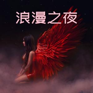 浪漫之夜